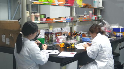 小玩具玩轉(zhuǎn)大市場 玩具禮品之都活力無限，技術(shù)服務(wù)賦能產(chǎn)業(yè)升級